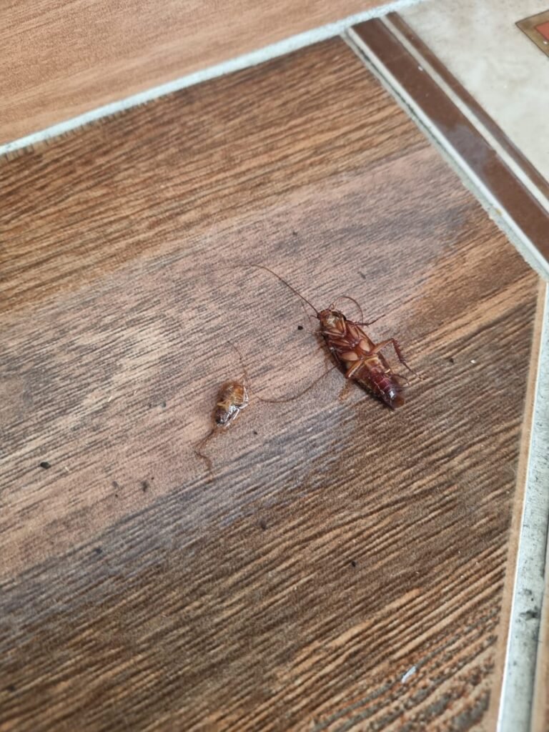 Imagen #2 de Yenny Arboleda