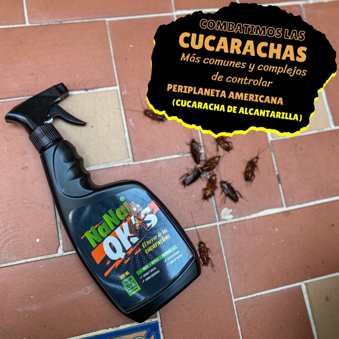 Insecticida Natural para cucaracha Americana