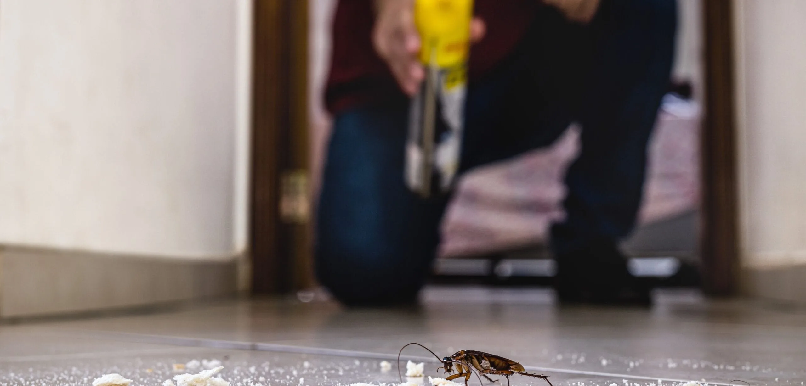 Veneno para cucarachas