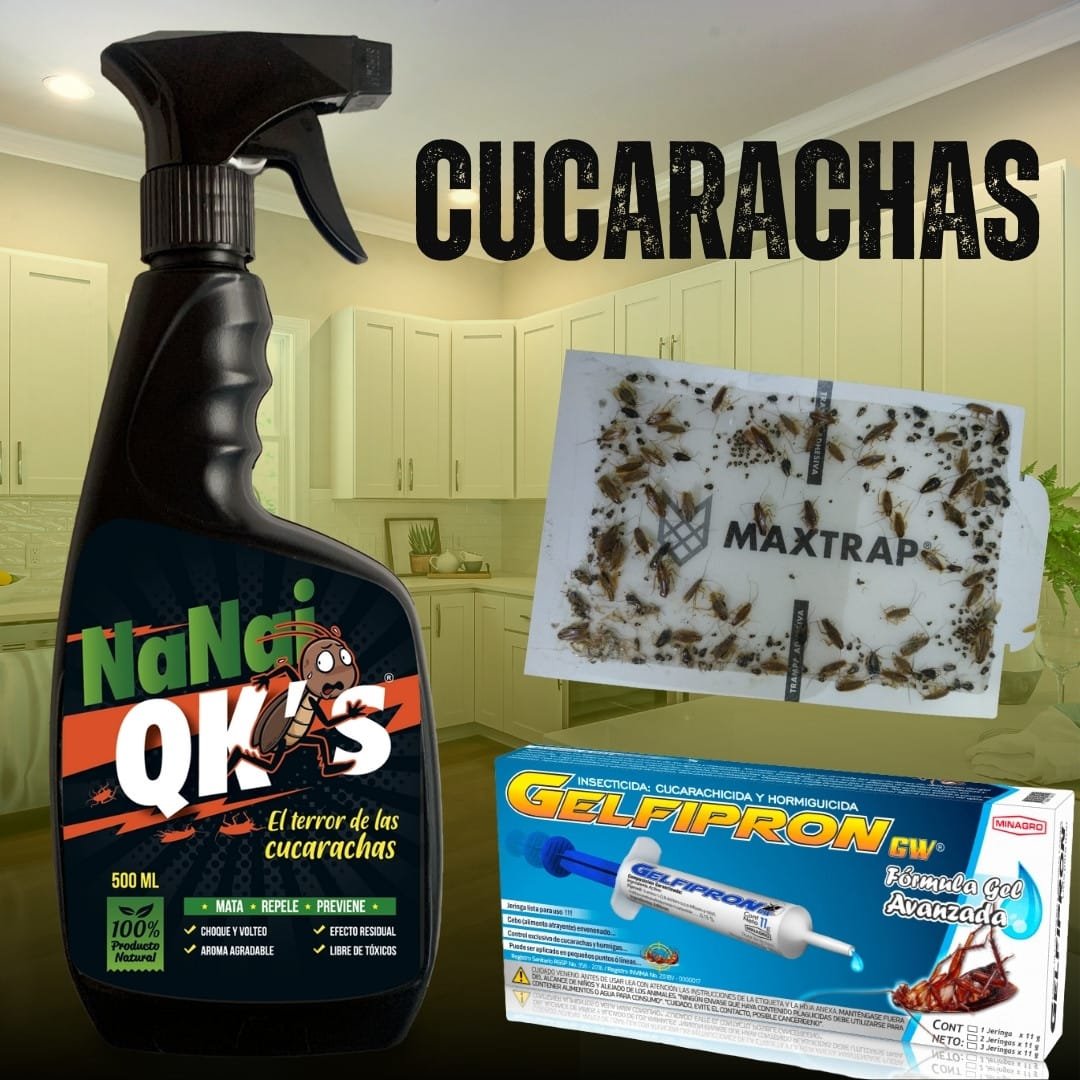 Control de Cucarachas
