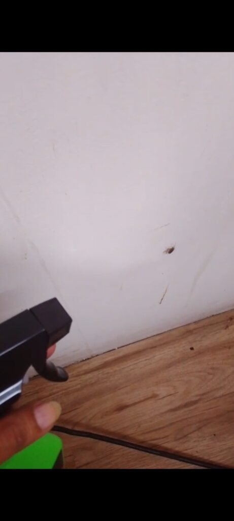 Imagen #1 de Alberto saade