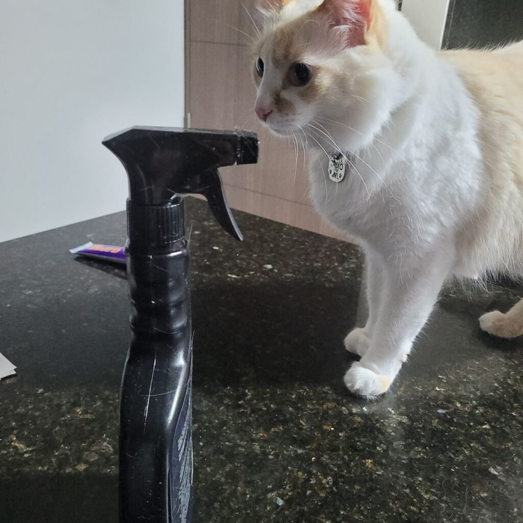 Imagen #1 de Anónimo