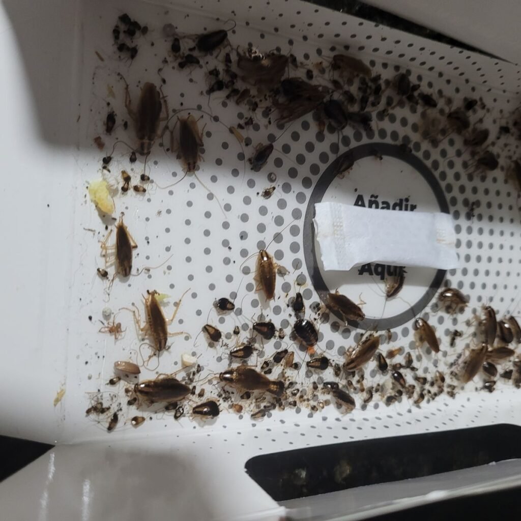 Imagen #2 de Anónimo