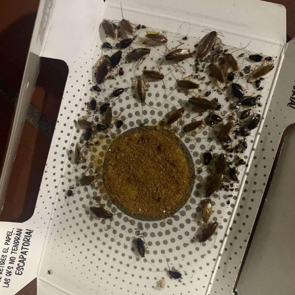 Imagen #1 de esteban r.