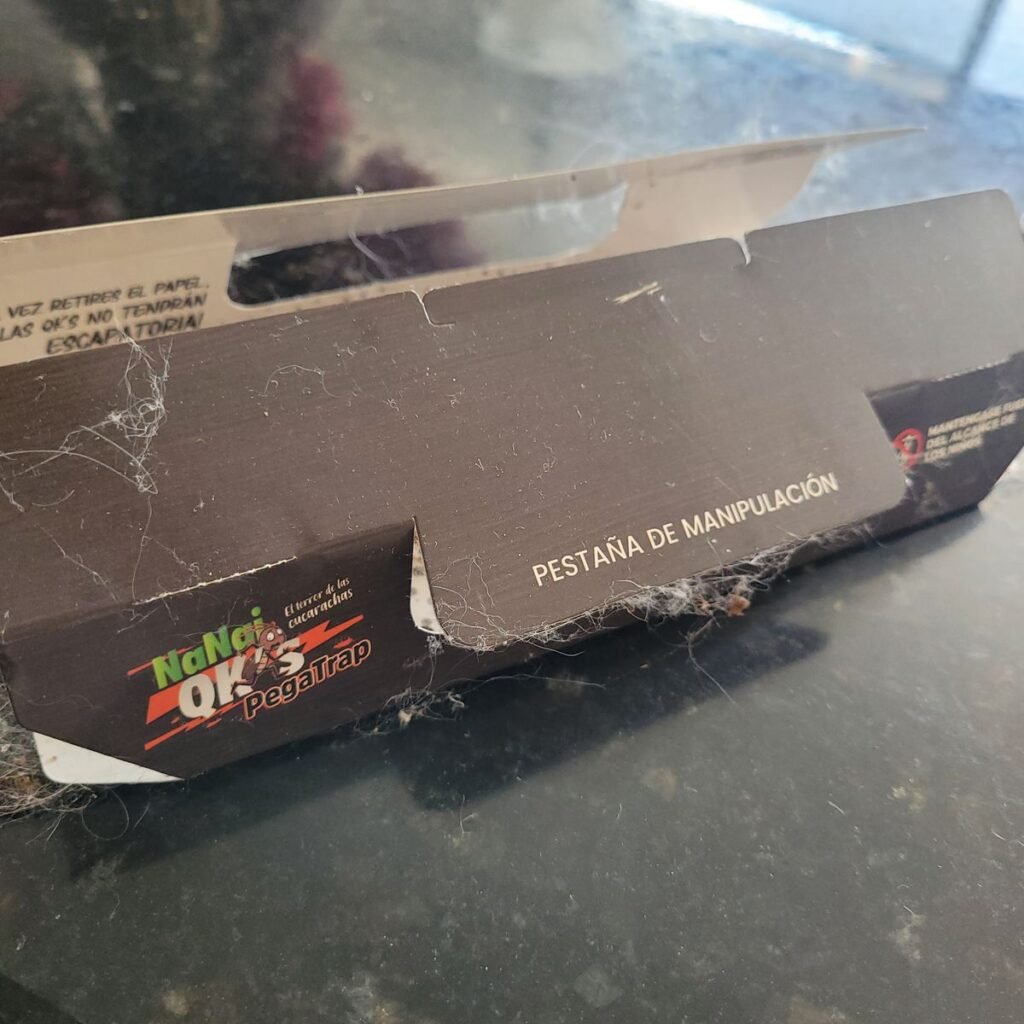 Imagen #1 de Anónimo