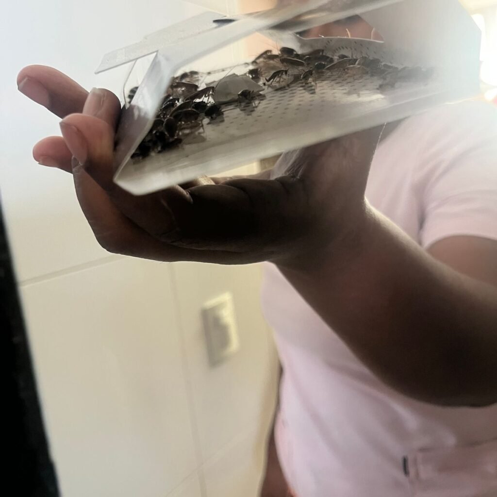 Imagen #1 de Anónimo