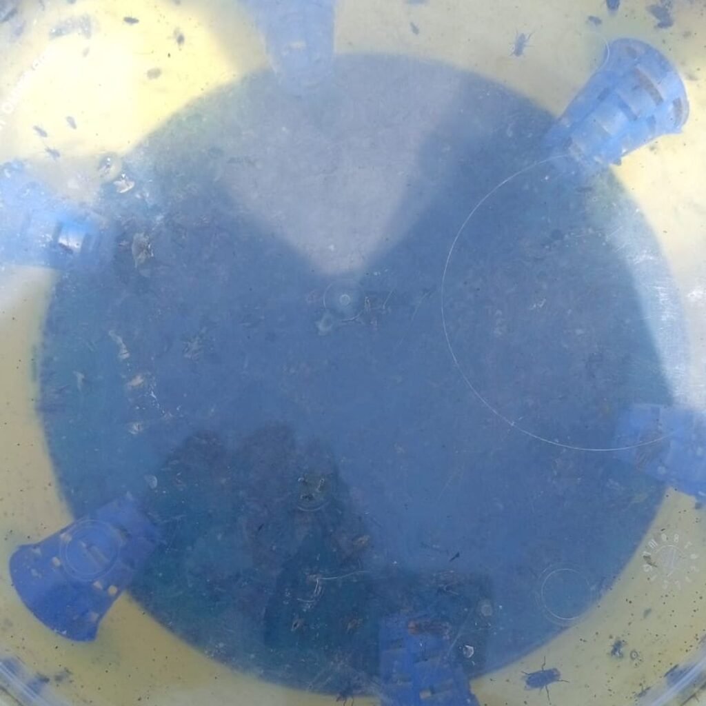 Imagen #2 de Janner G.