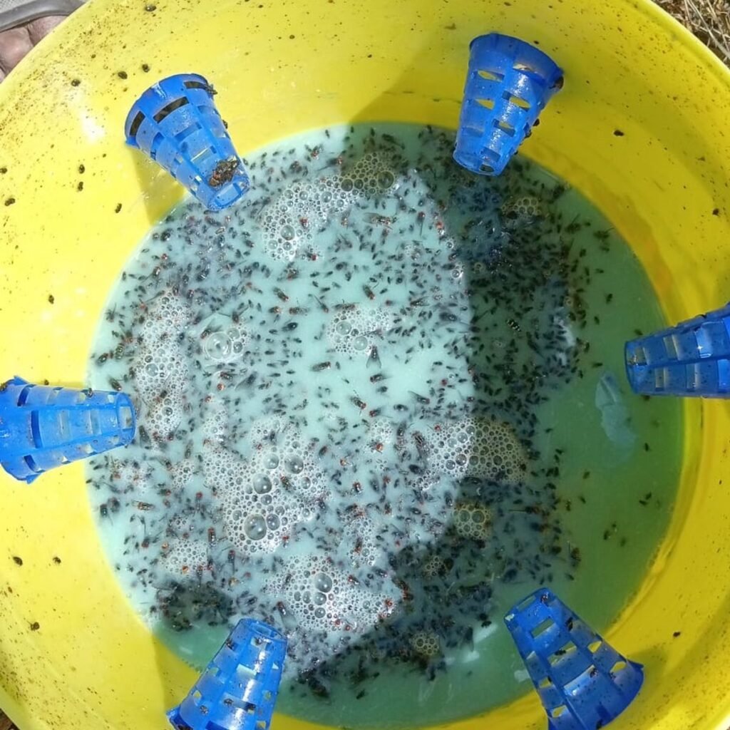 Imagen #1 de Janner G.