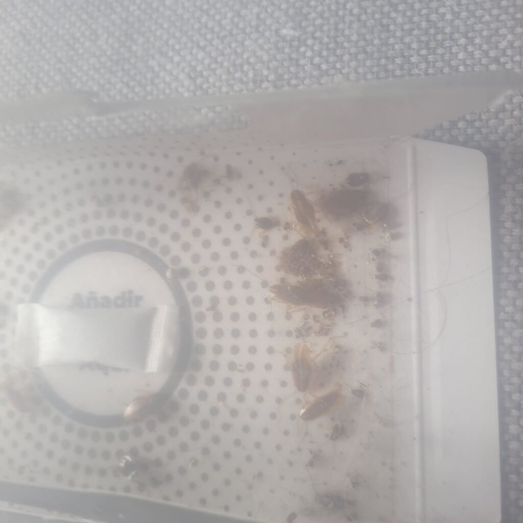 Imagen #1 de Anónimo