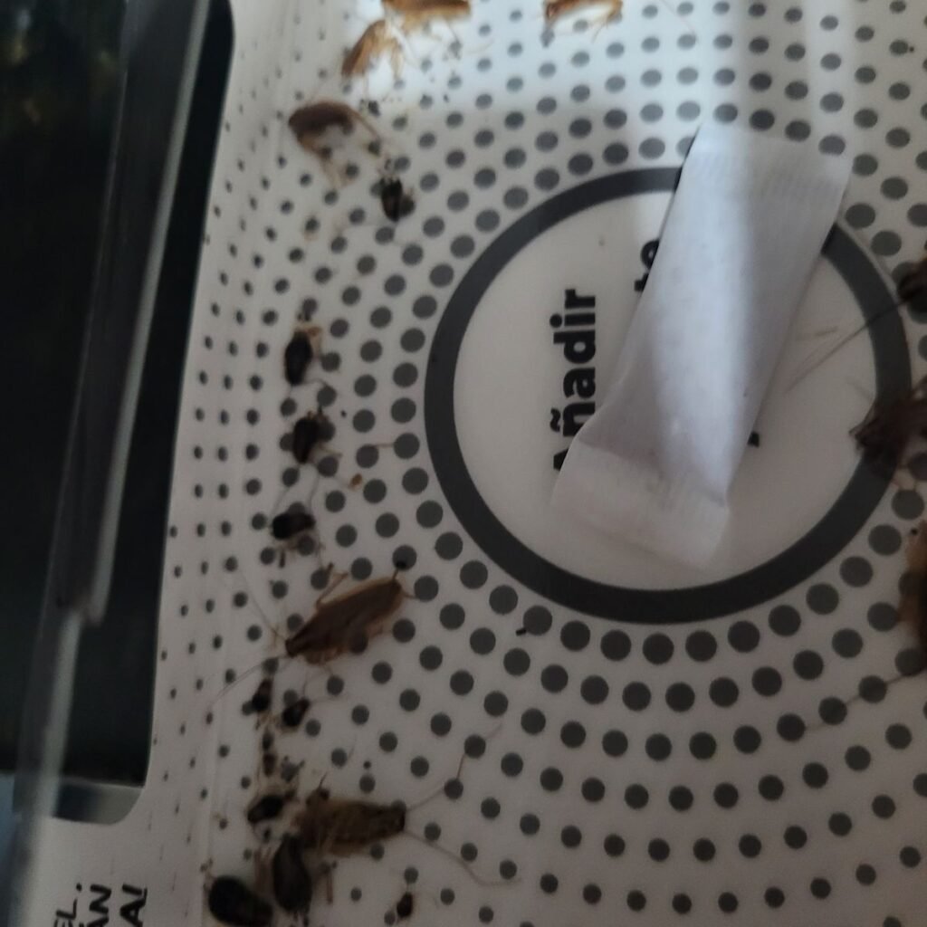 Imagen #1 de Anónimo