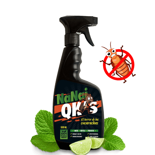 Diseno-sin-titulo-11.png